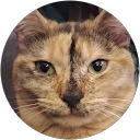 Photo de profil de Clément C